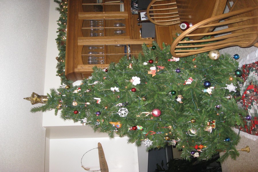 ../image/christmas tree 1.jpg